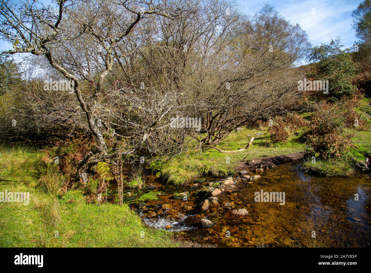 Crystal clear stream hi-res stock photography and images - Alamy