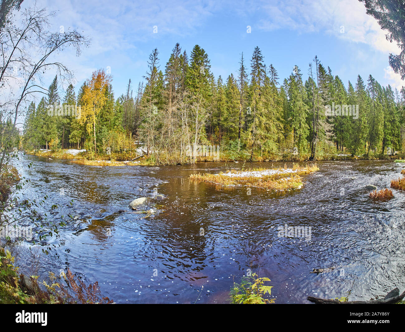river in the forest. autumn Stock Photo - Alamy