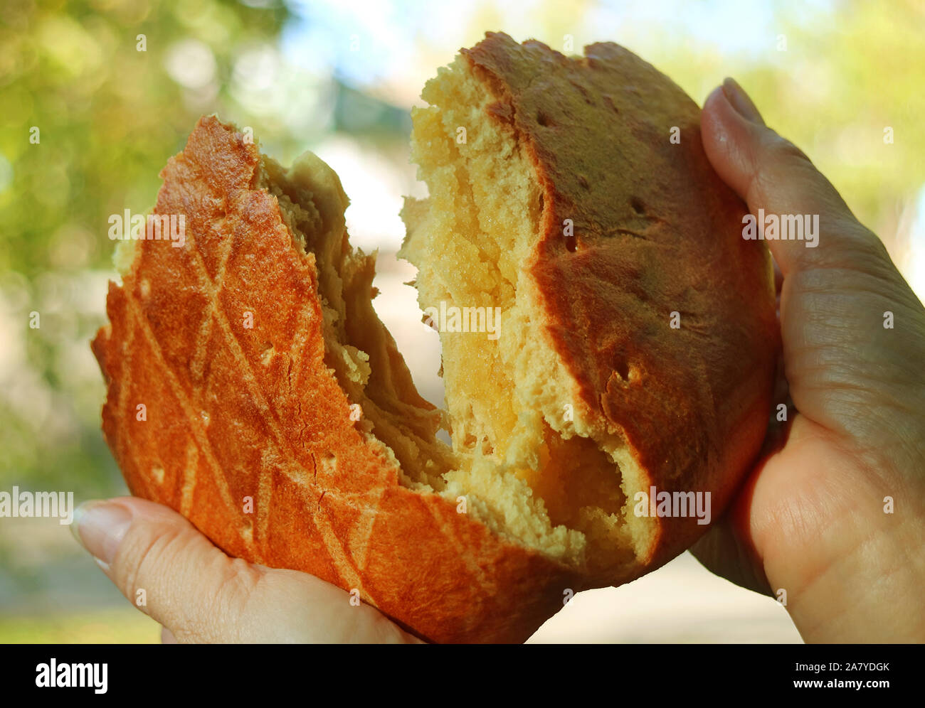 Gata, an Armenian Sweet Bread Filled with Butter Sugar and Flour Mixed  Together Stock Photo - Alamy