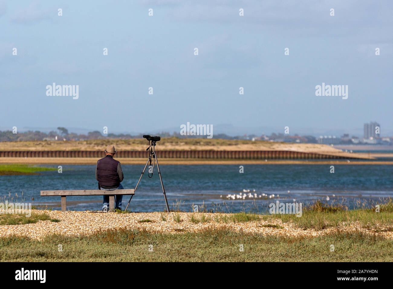 Birdwatching at Pagham Harbour Stock Photo