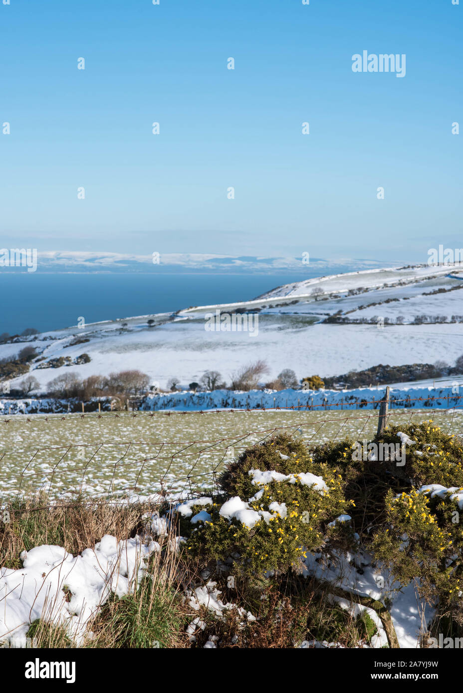 Snowfall on Exmoor National Park during Winter, overlooking the Bristol Channel, North Devon, February 2019 Stock Photo