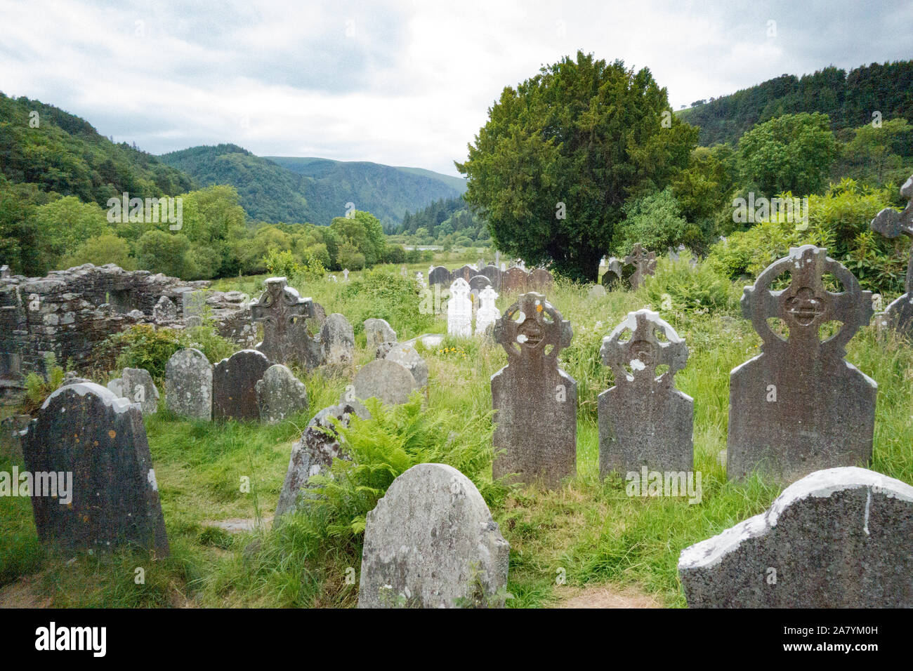 Headstones in an overgrown graveyard at Glendalough, Co. Wicklow, Ireland Stock Photo