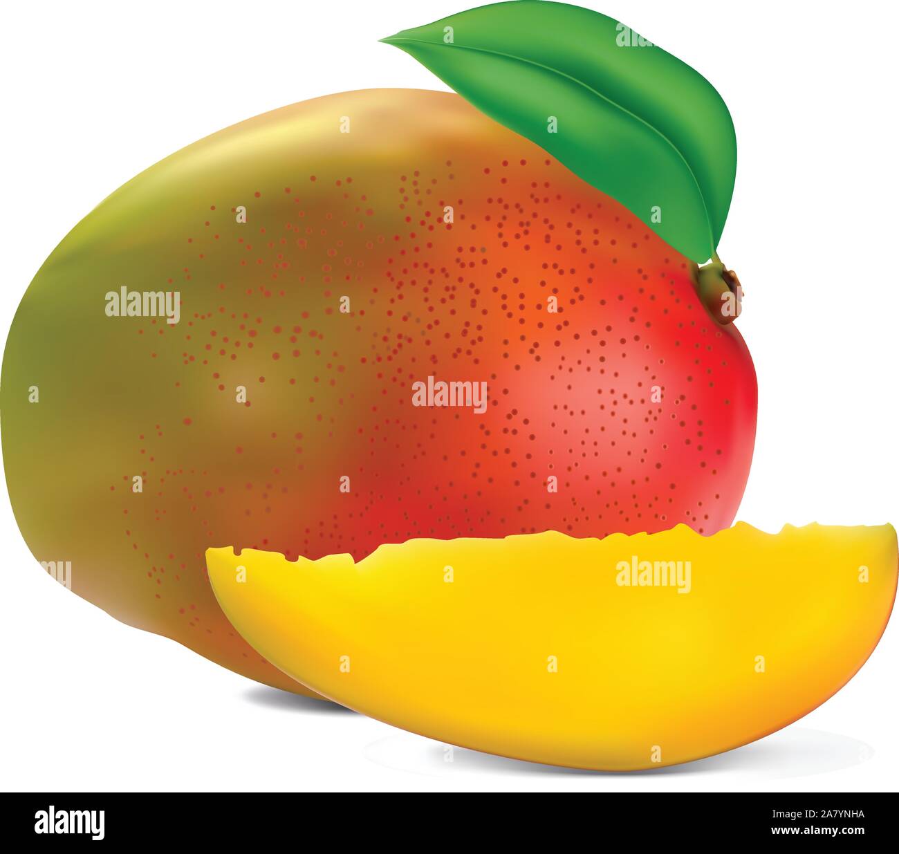 fresh mango fruit with cut and green leafs vector Stock Vector Image ...