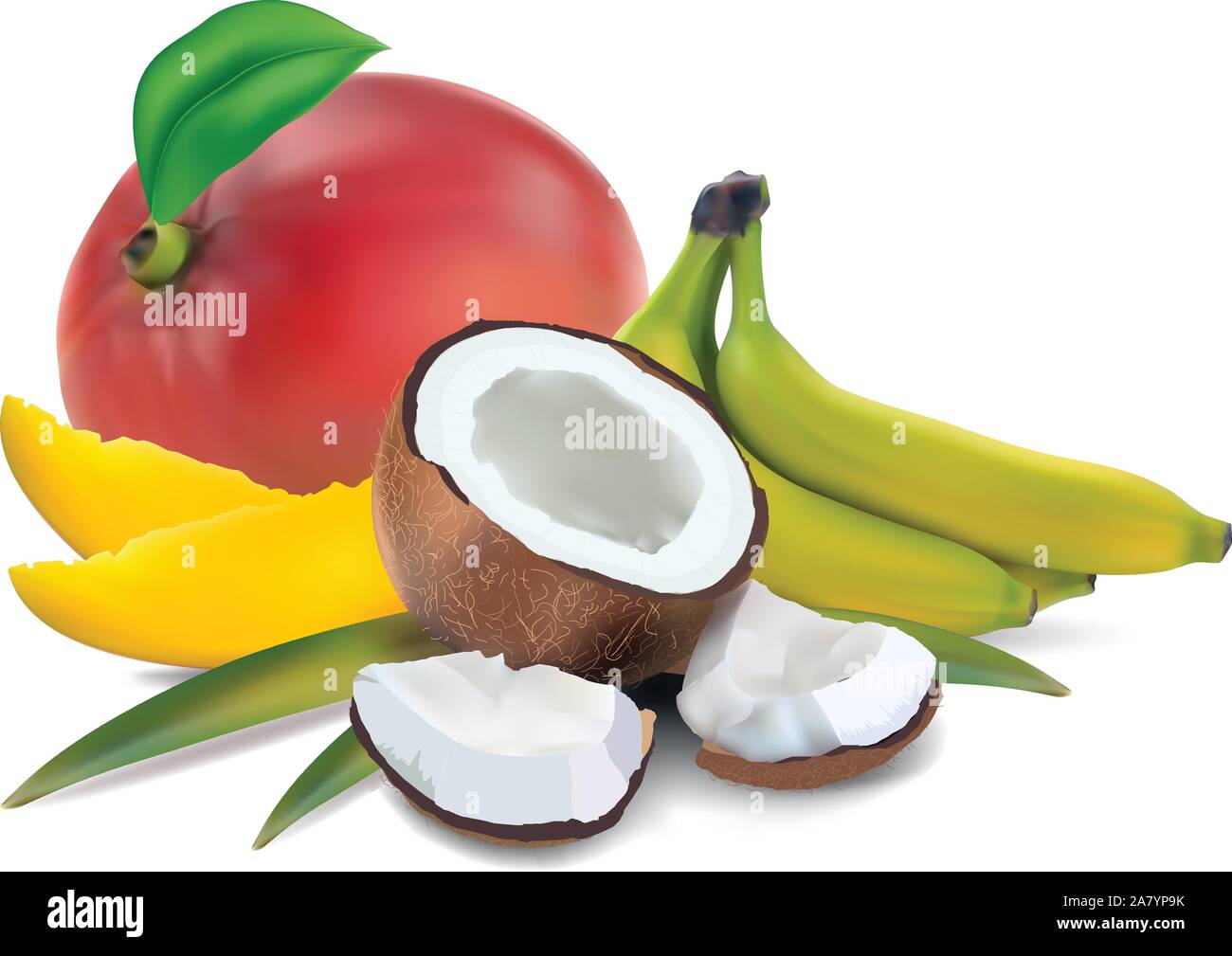 Banana mango fruit tropical Stock Vector Images - Alamy
