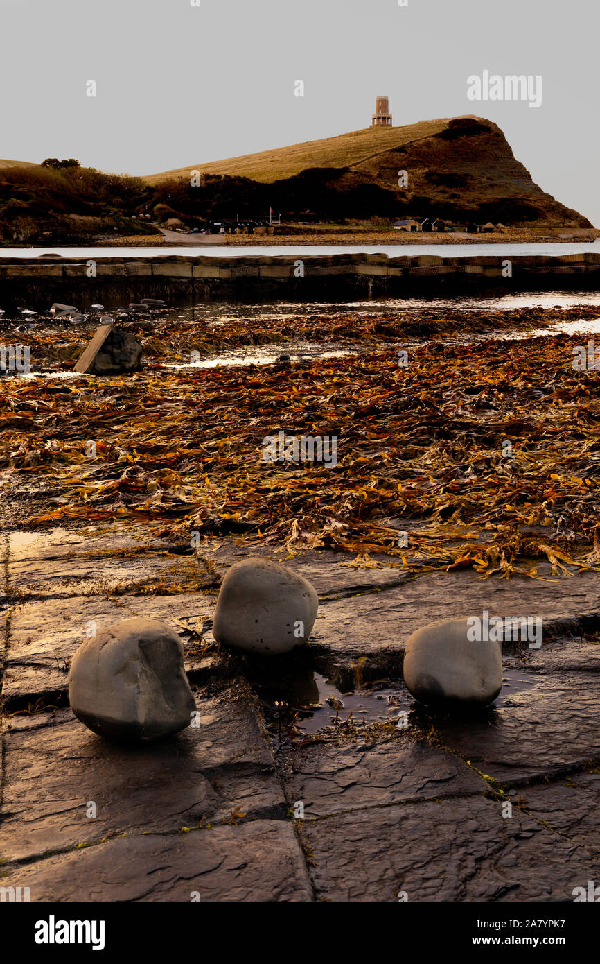 Kimmeridge  Dorset  England Rocks and seaweed at dawn on Dorset's Jurassic coast, showing Clavell Tower Stock Photo