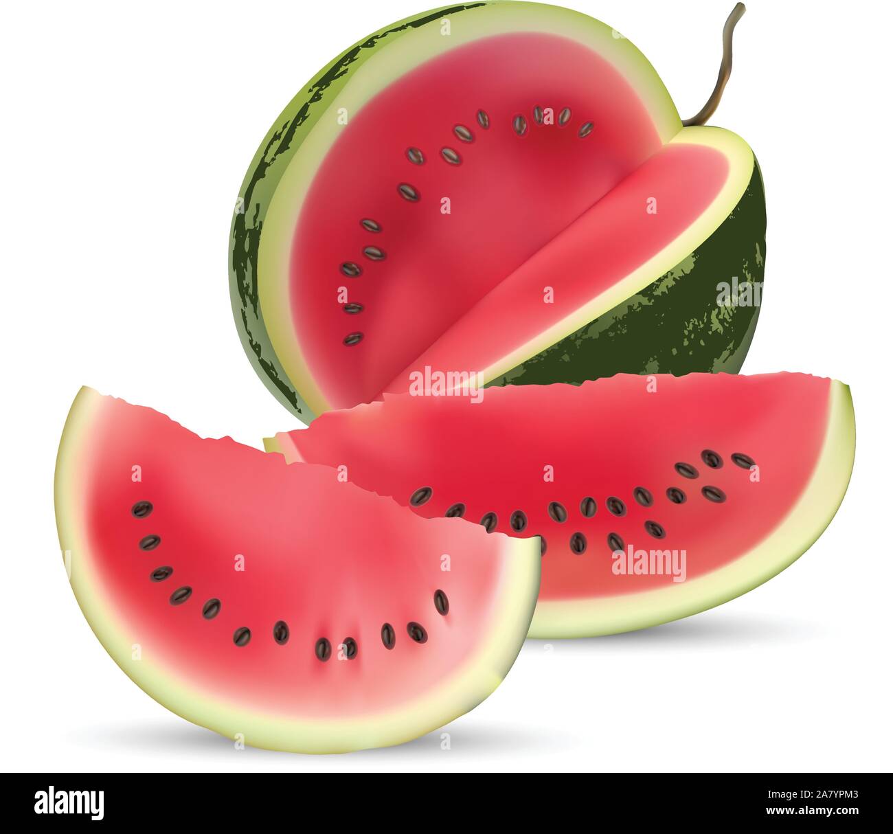 Watermelon isolated on white background vector Stock Vector Image & Art ...