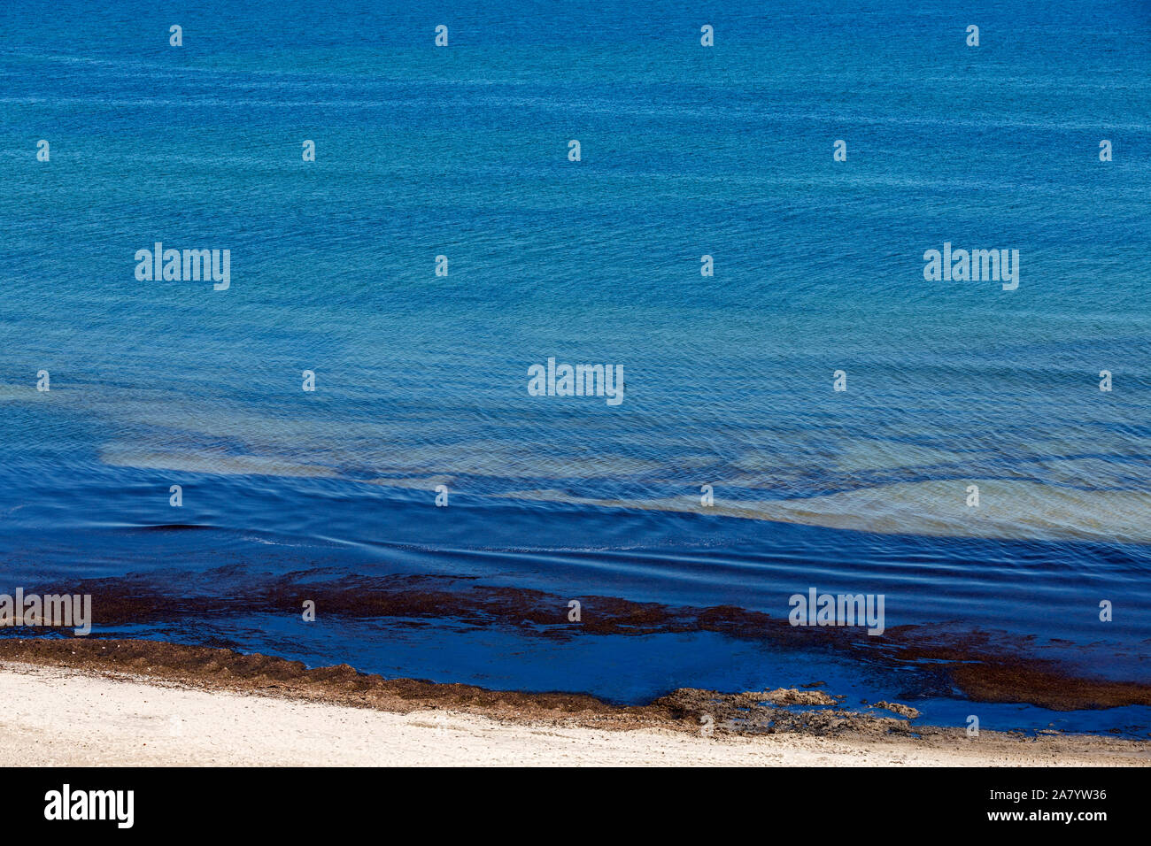 Strand, Meer, Algen, blau Stock Photo