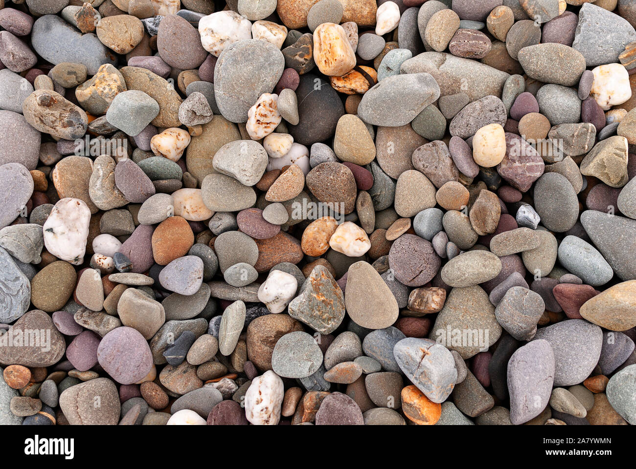Smooth stones texture background. Rounded stones on Atlantic ocean coast. Stock Photo