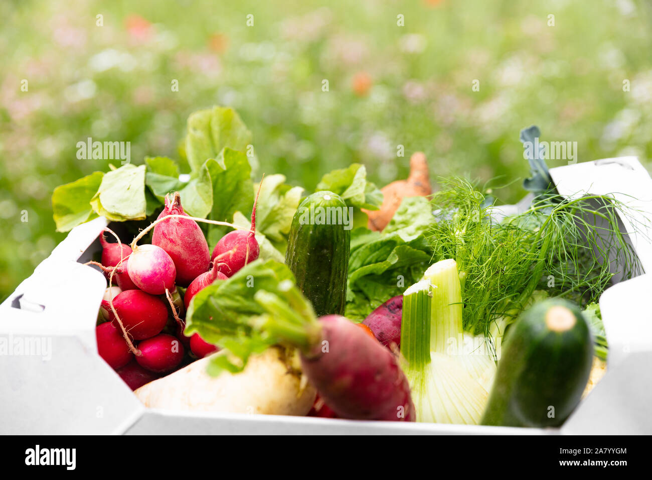 carton box full of fresh organic vegetables lying in a flower meadow ...
