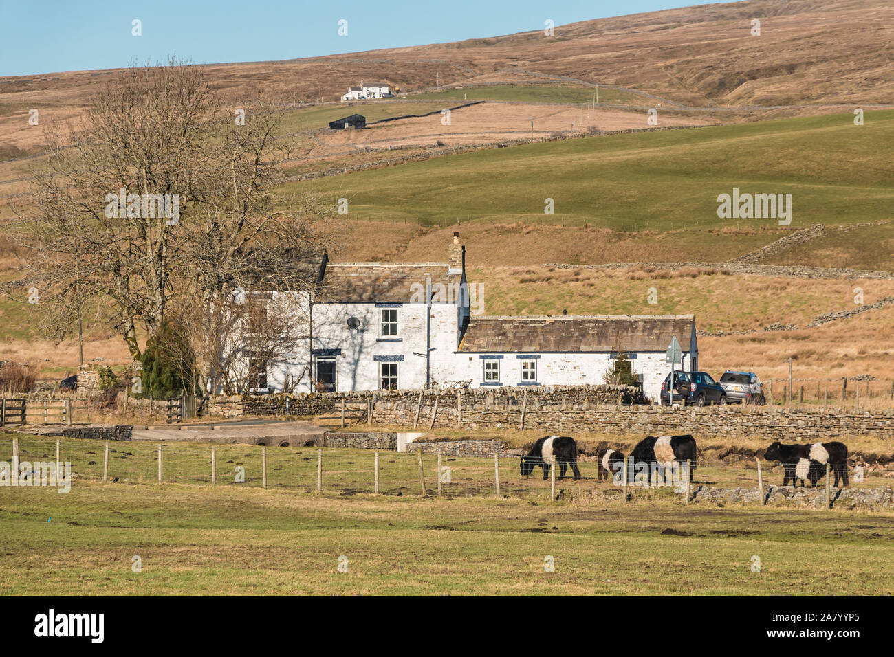 Low End Farm, Harwood, Upper Teesdale Stock Photo