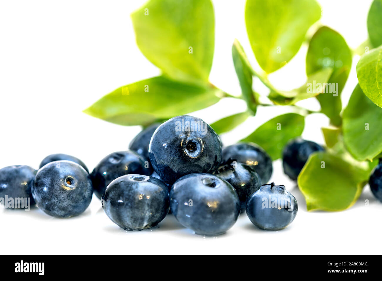 Fresh raw blueberries and green leaves isolated on white background