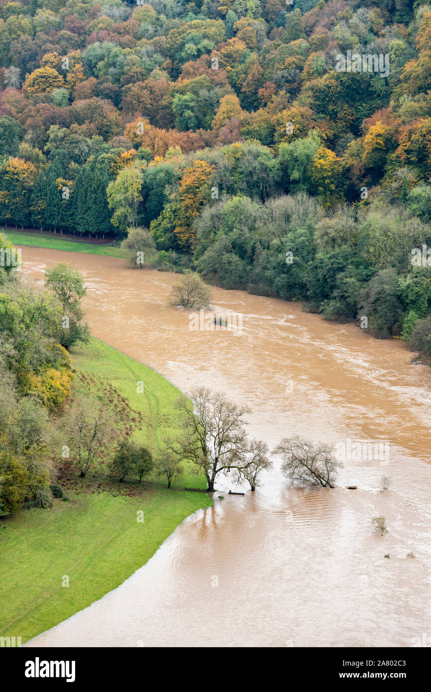The River Wye in flood  on 28.10.2019 viewed from Symonds Yat Rock, Herefordshire UK - The flooding was due to heavy rain in Wales. Stock Photo