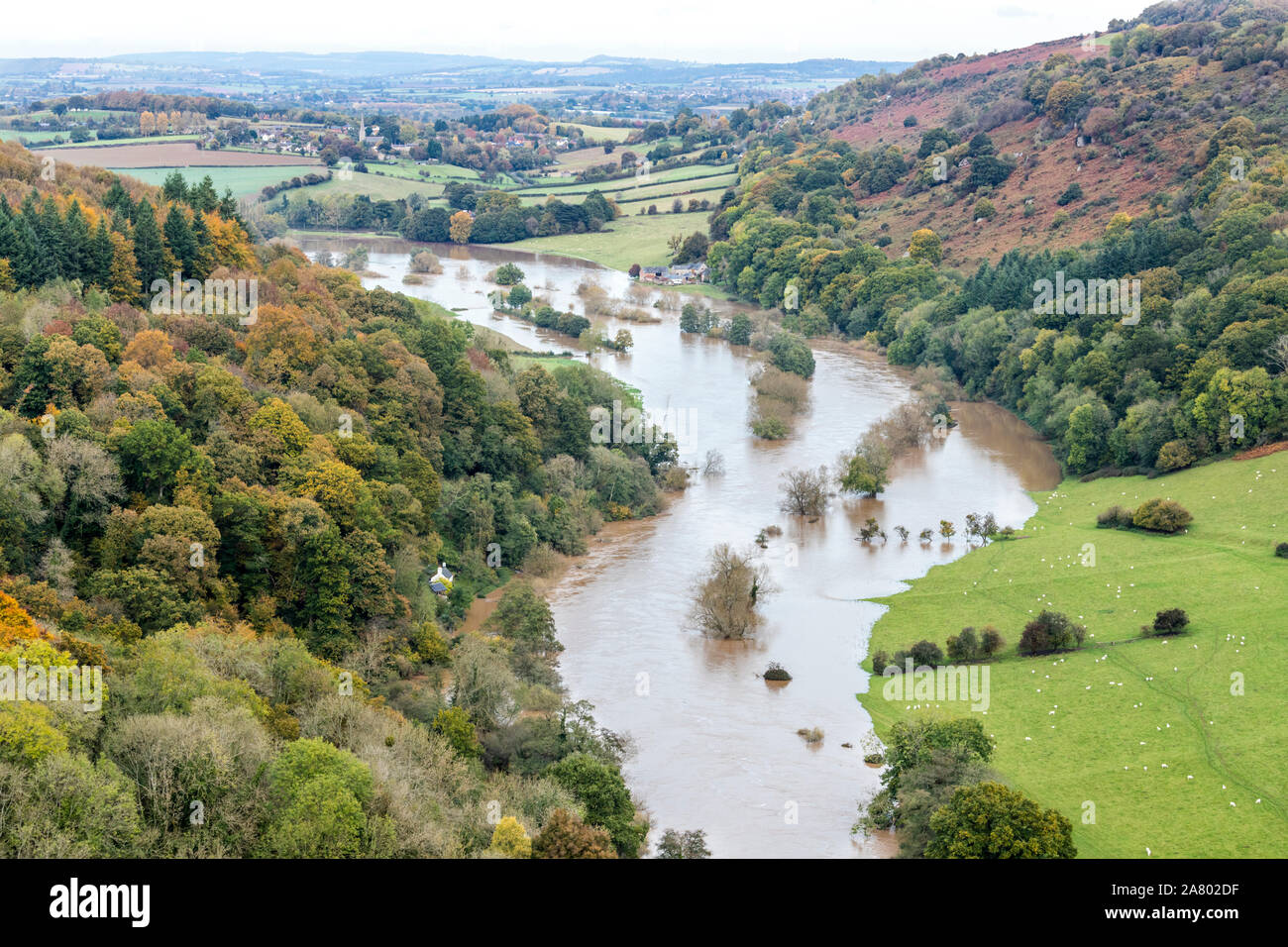 The River Wye in flood below Coppett Hill on 28.10.2019 viewed from Symonds Yat Rock, Herefordshire UK - The flooding was due to heavy rain in Wales. Stock Photo
