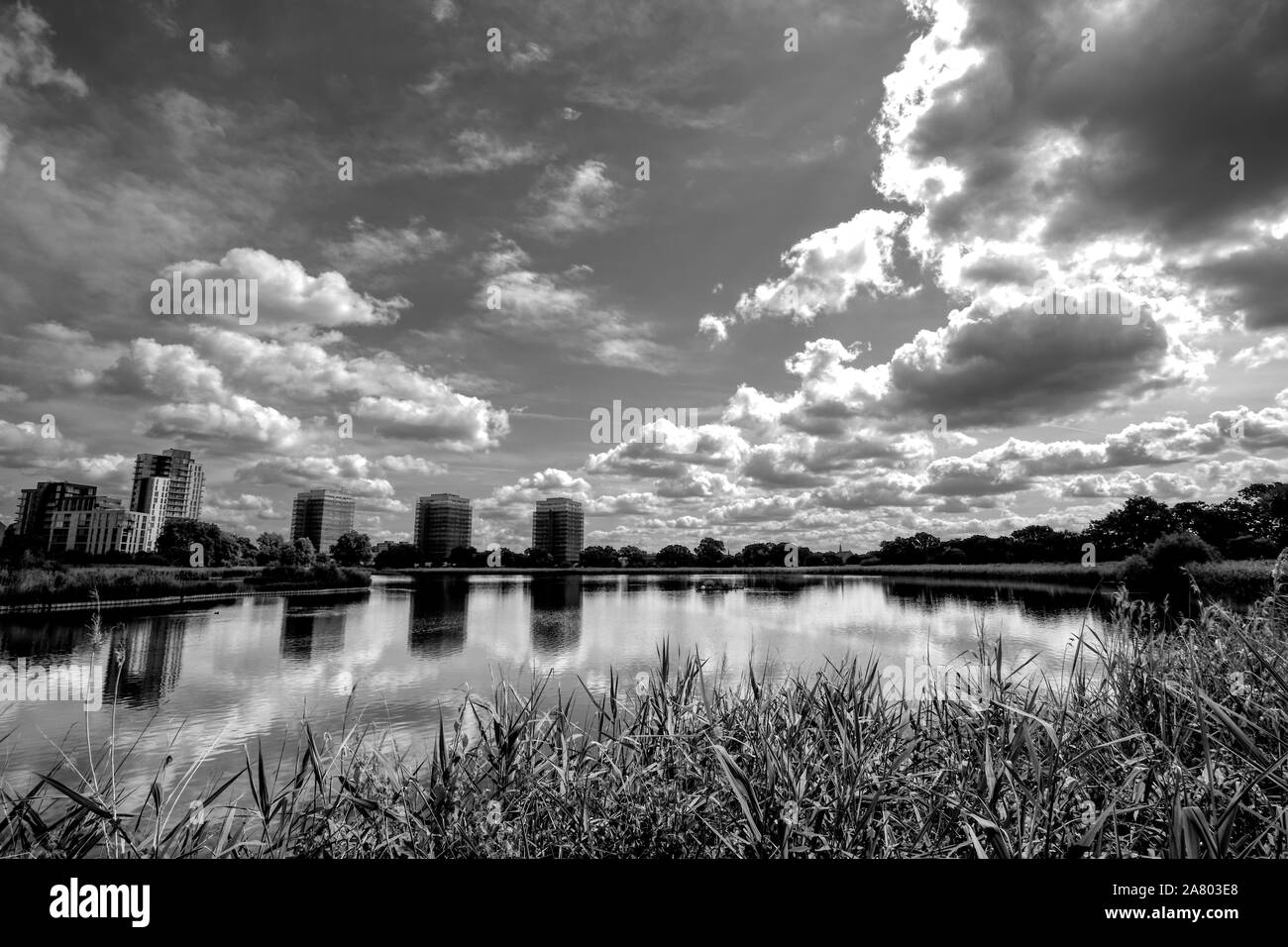 Woodberry Wetlands, Stoke Newington, London. Lake with grass in the foreground, buildings in the background, moody clouds in the sky and reflections. Stock Photo