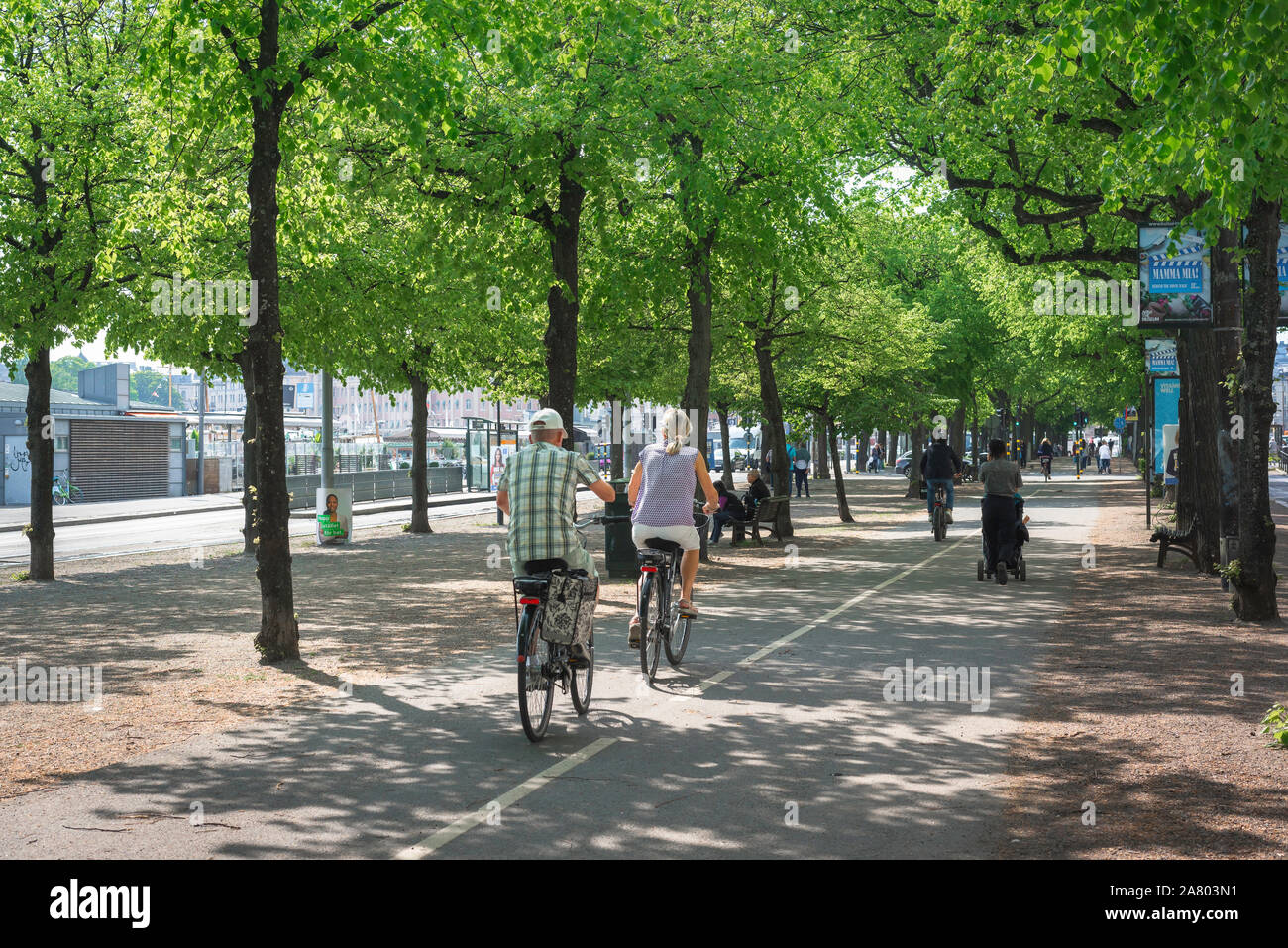 Cycle path, rear view in summer of a senior couple cycling along the Strandvagen cycle path in central Stockholm, Sweden. Stock Photo