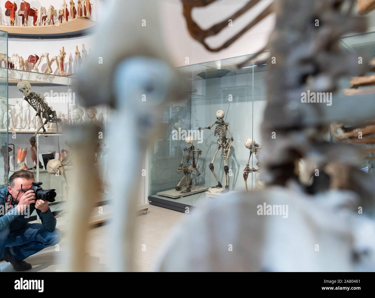 Human body parts wax hires stock photography and images Alamy