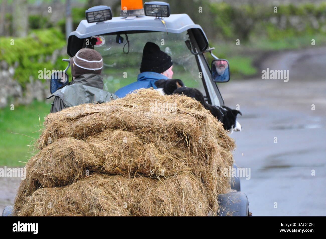 Use of quad bike in farming hi-res stock photography and images - Alamy