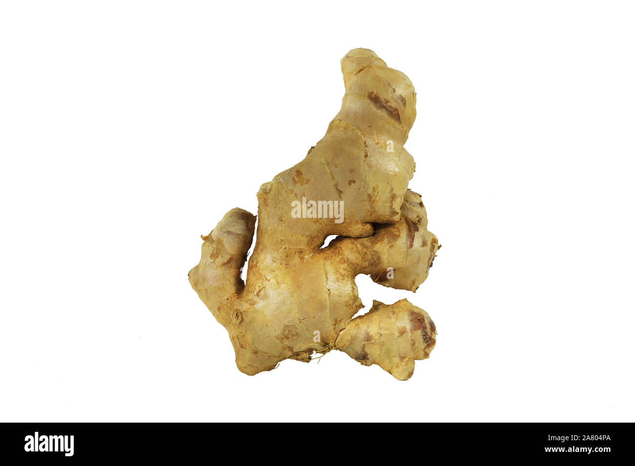 Fresh Ginger (Zingiber officinale) isolated on white background, herb medical concept. Stock Photo