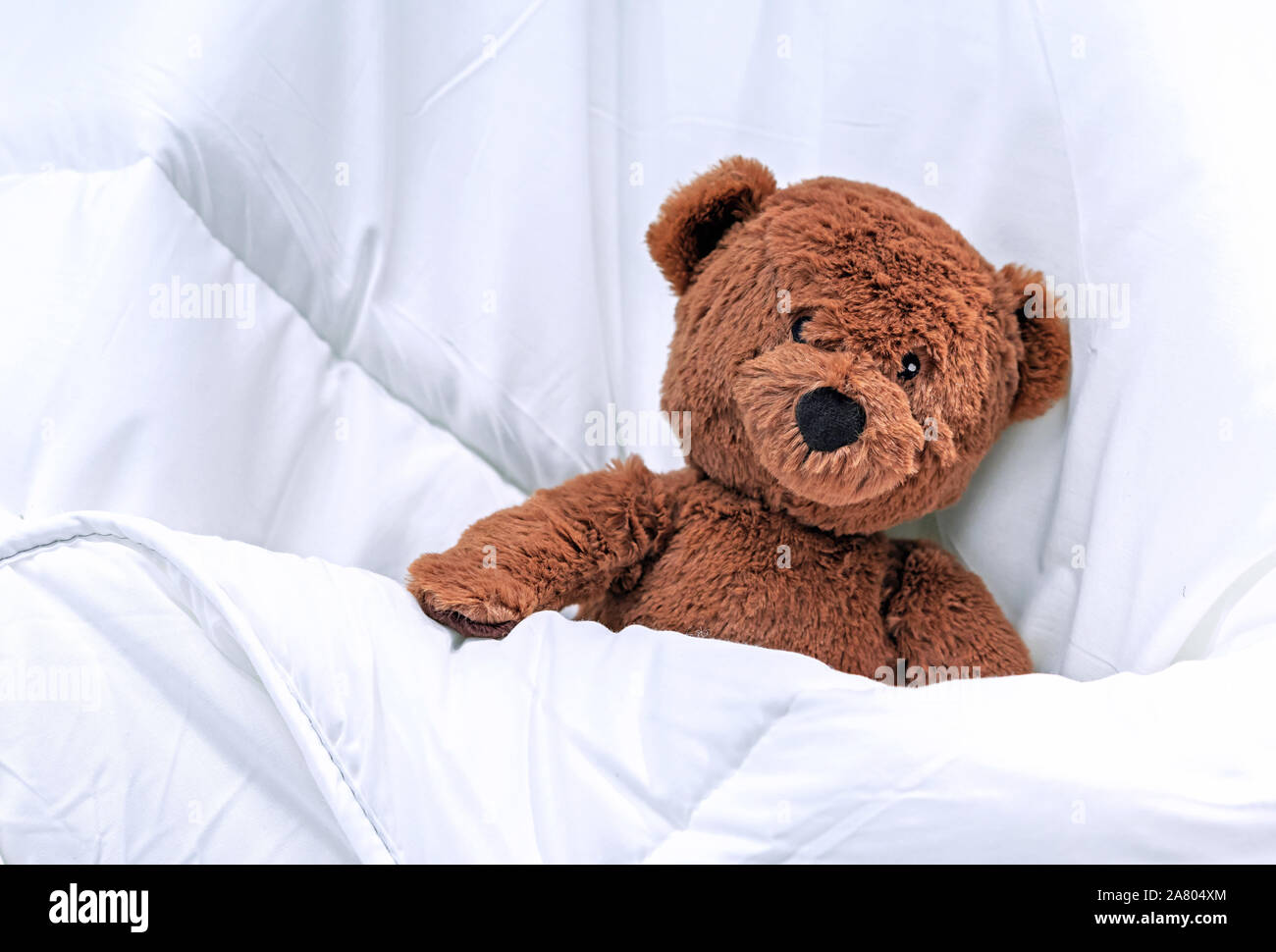Teddy Bear in the crib under a white blanket Stock Photo Alamy