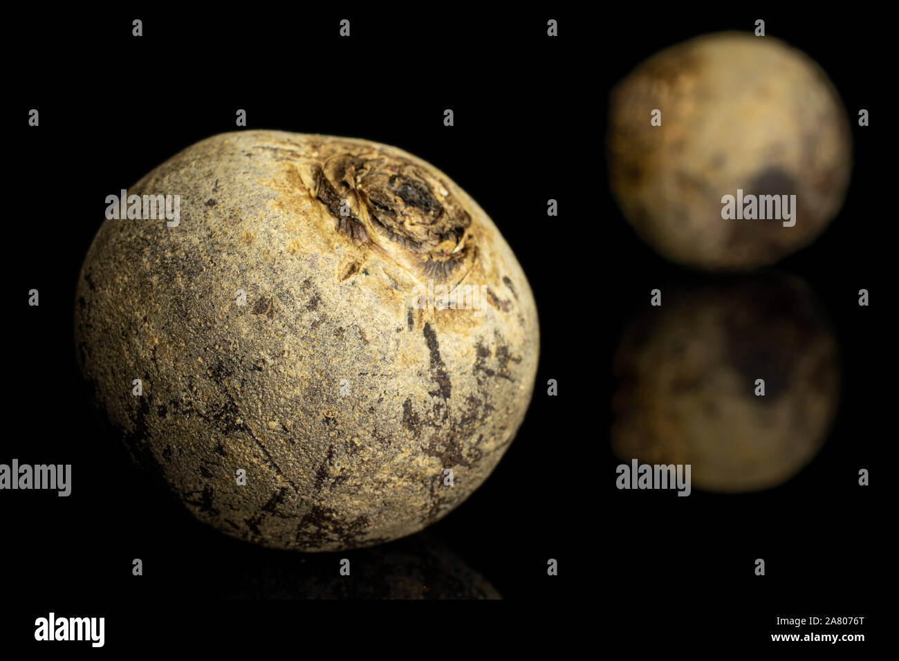 Group of two whole raw red beetroot isolated on black glass Stock Photo