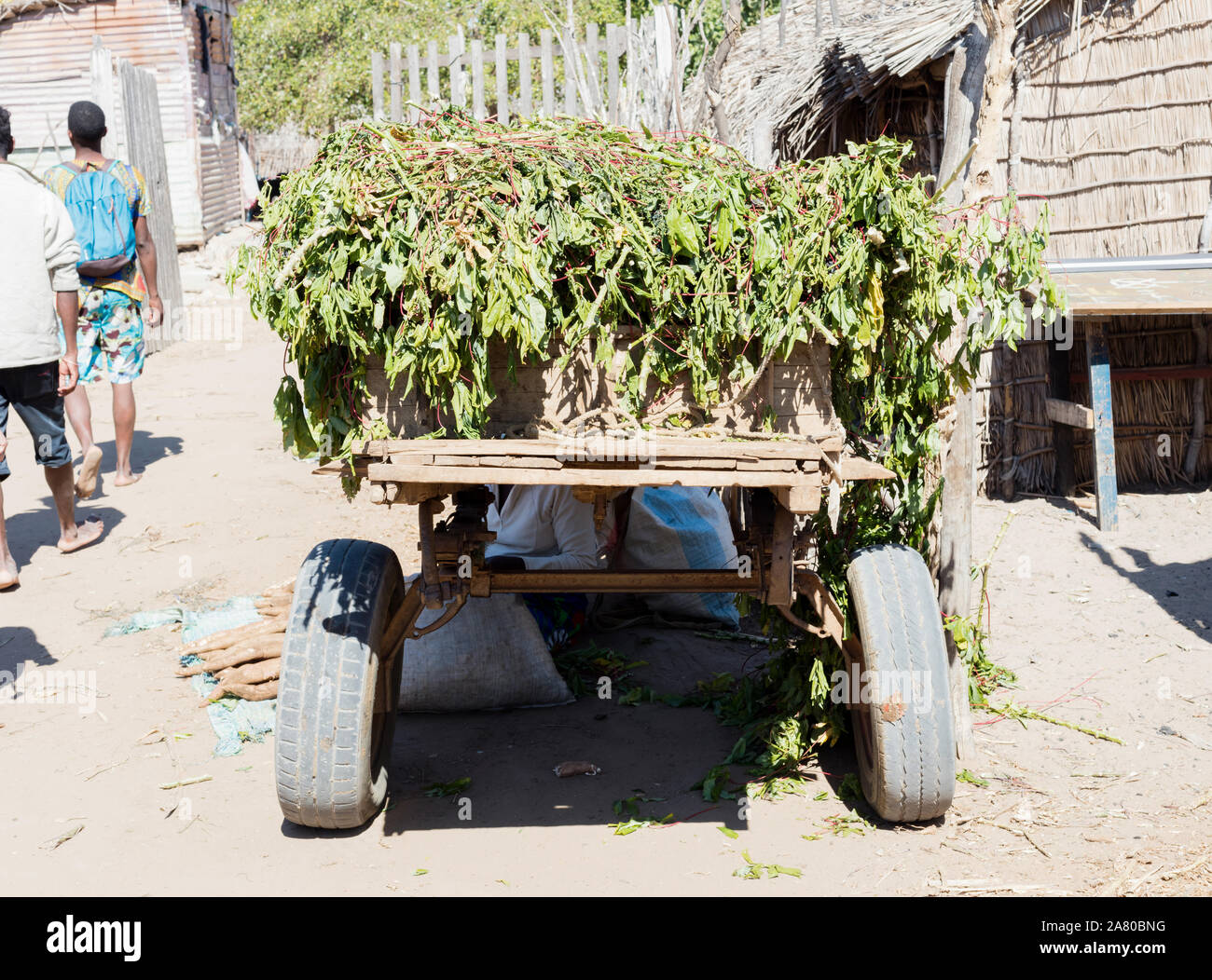 Bringing goods hi-res stock photography and images - Alamy