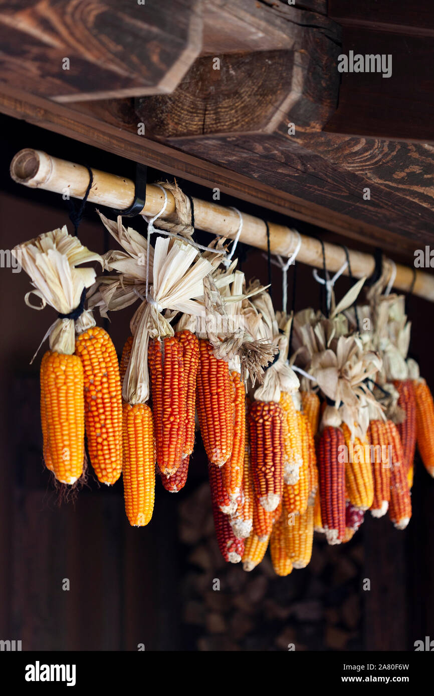 Close-up of cobs of corn hanging above a domestic doorway in Kurokawa, Japan Stock Photo
