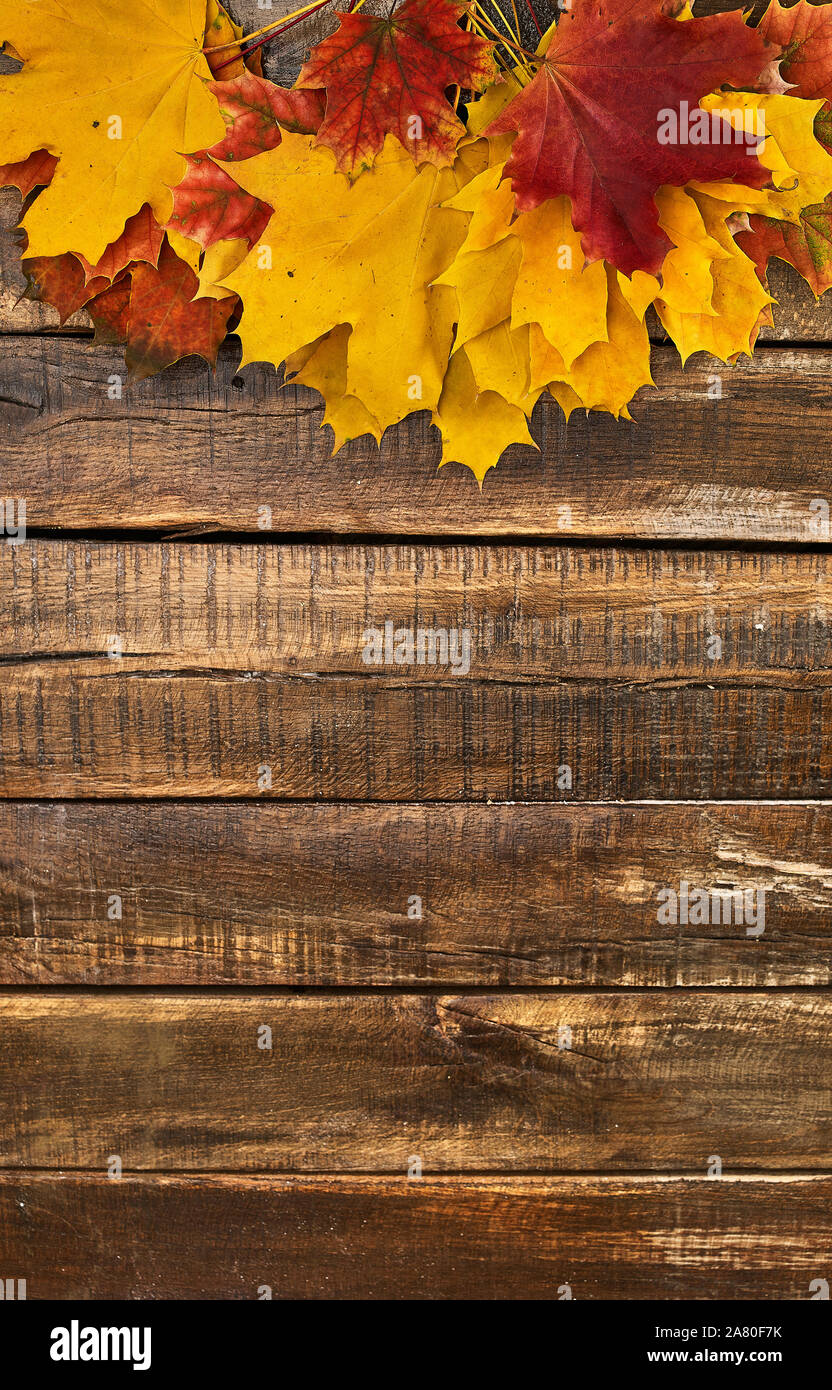 Autumn maple leaves on top view wooden table Stock Photo
