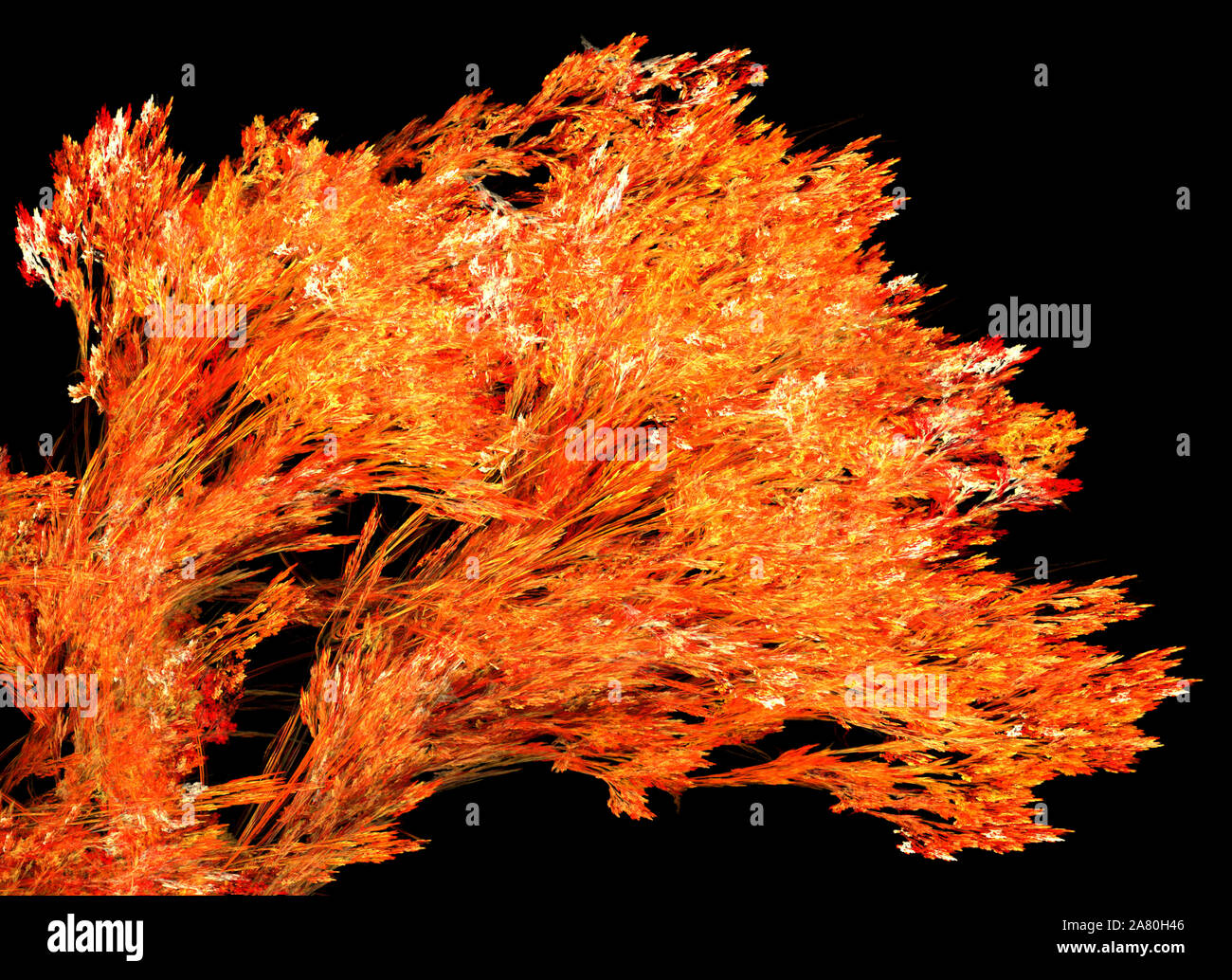Fire tree branch special effect abstract, dark background, horizontal