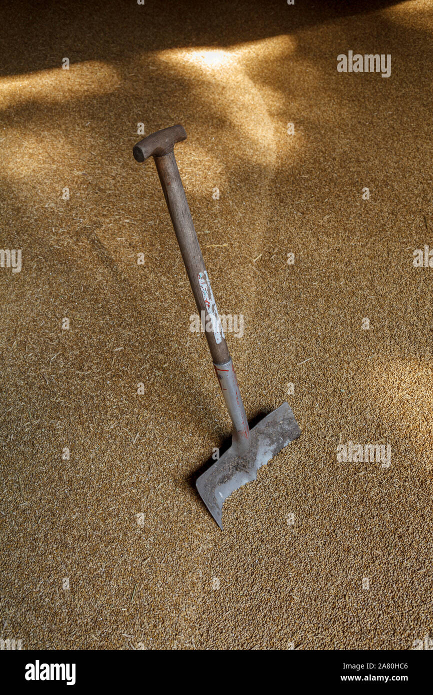 Old shovel hi-res stock photography and images - Alamy