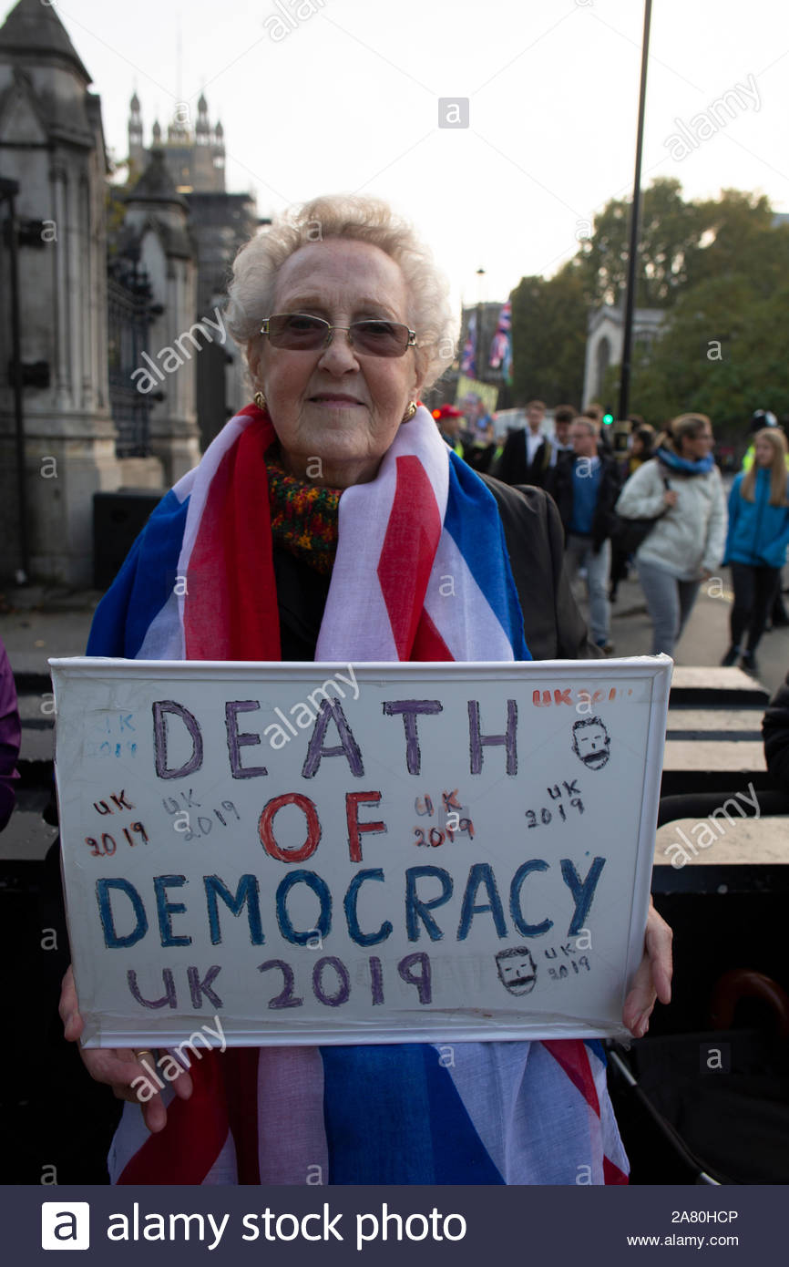 A Leave means Leave march took place at Westminster on October 31st in protest at the failure to deliver Brexit. There was a heavy police presence at the protest and arrests were made.Maureen was keen to get her point across at the protest. Stock Photo