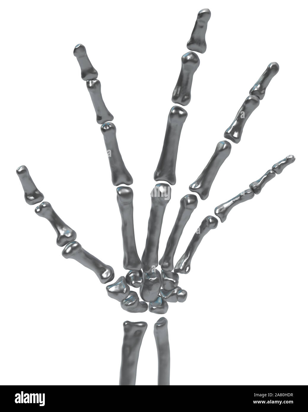 Metal skeleton hand, isolated, 3d illustration, vertical, over white Stock Photo
