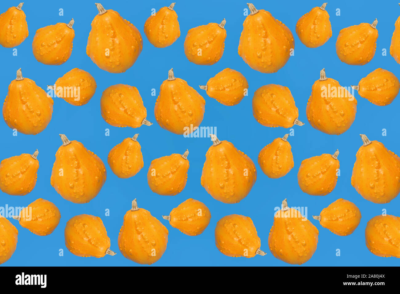 Seamless Pattern With Pumpkins On Blue Background Stock Photo