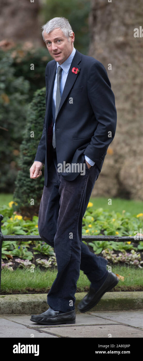 Downing Street, London, UK. 5th November 2019. Zac Goldsmith, Minister of State at the Department for Environment, Food and Rural Affairs and at the Department for International Development in Downing Street for weekly cabinet meeting. Credit: Malcolm Park/Alamy Live News. Stock Photo