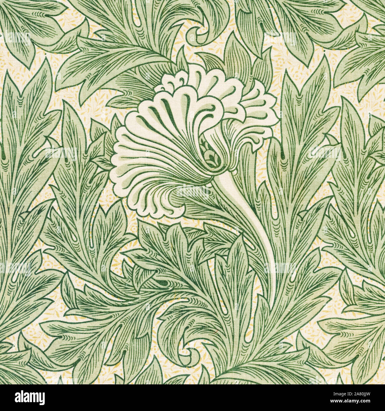 William Morris, Fabric pattern, Tulip, woodcut print, detail 1875 Stock Photo