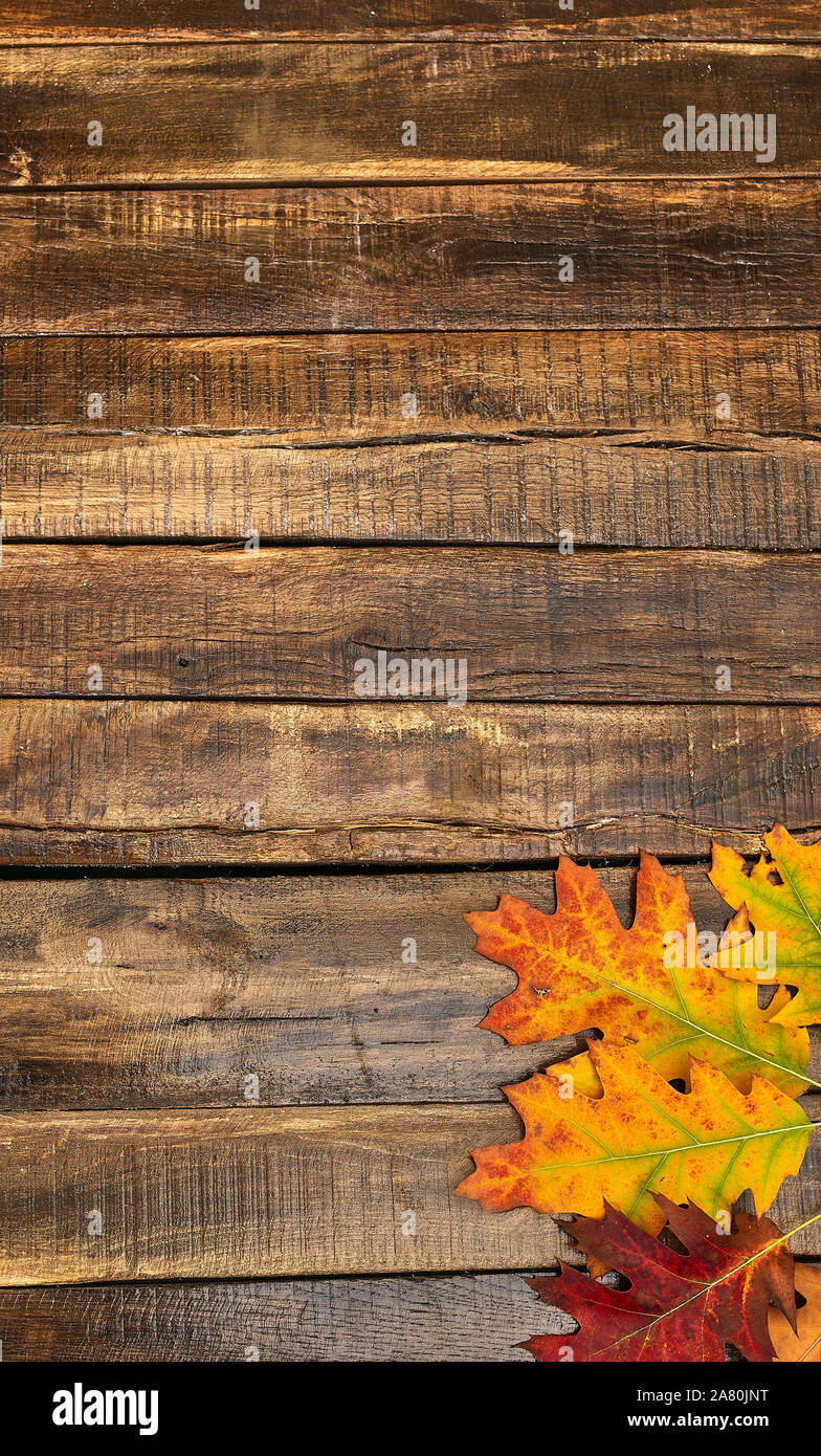 Autumn maple leaves on wooden table Stock Photo