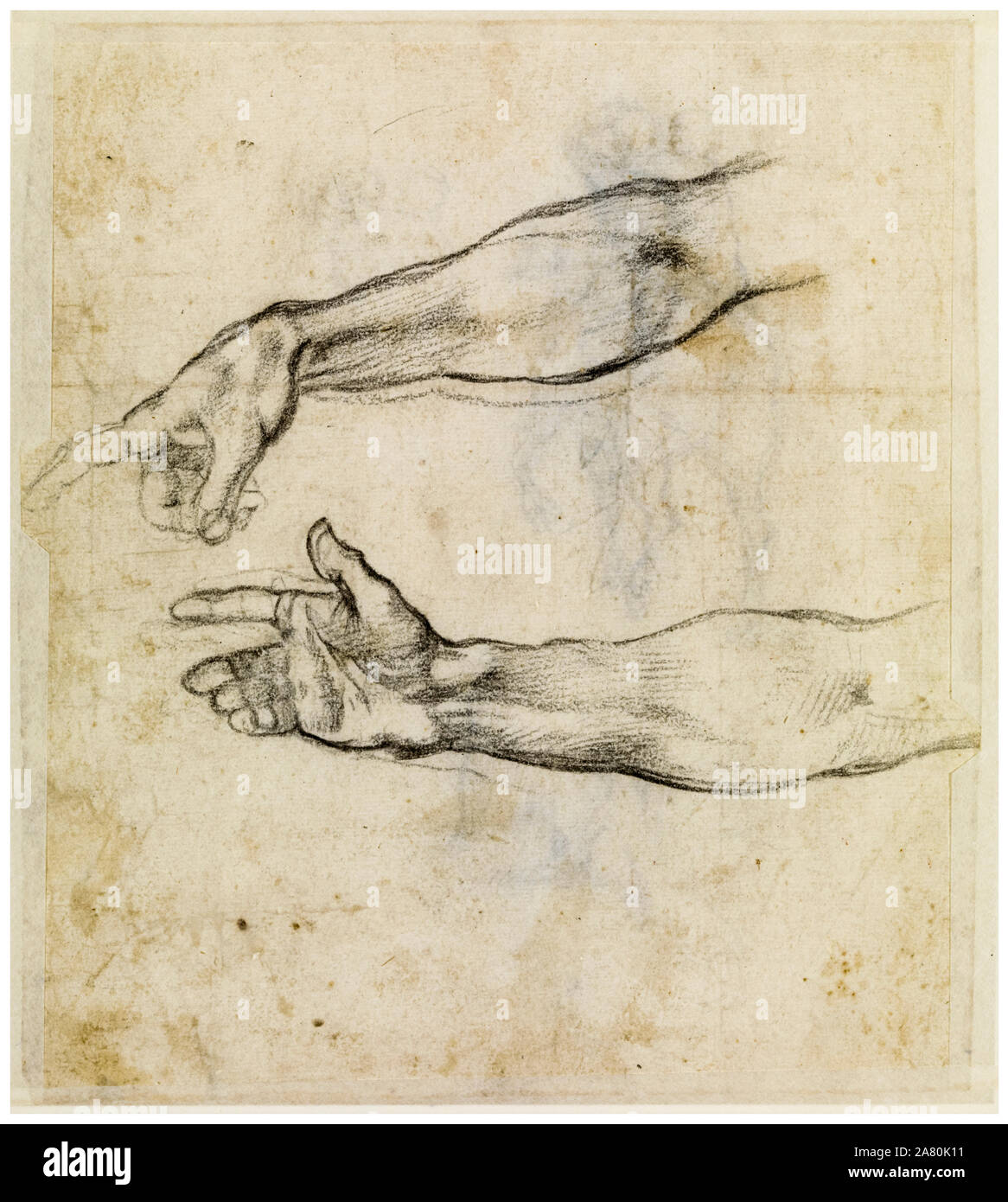 Michelangelo Buonarroti, Studies of an outstretched arm for the fresco 'The Drunkenness of Noah' in the Sistine Chapel, drawing, circa 1508-1509 Stock Photo