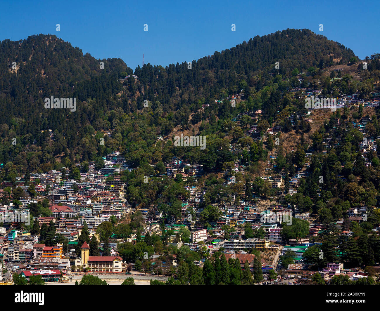 Houses on the pine tree forested area at the hill station of Nainital