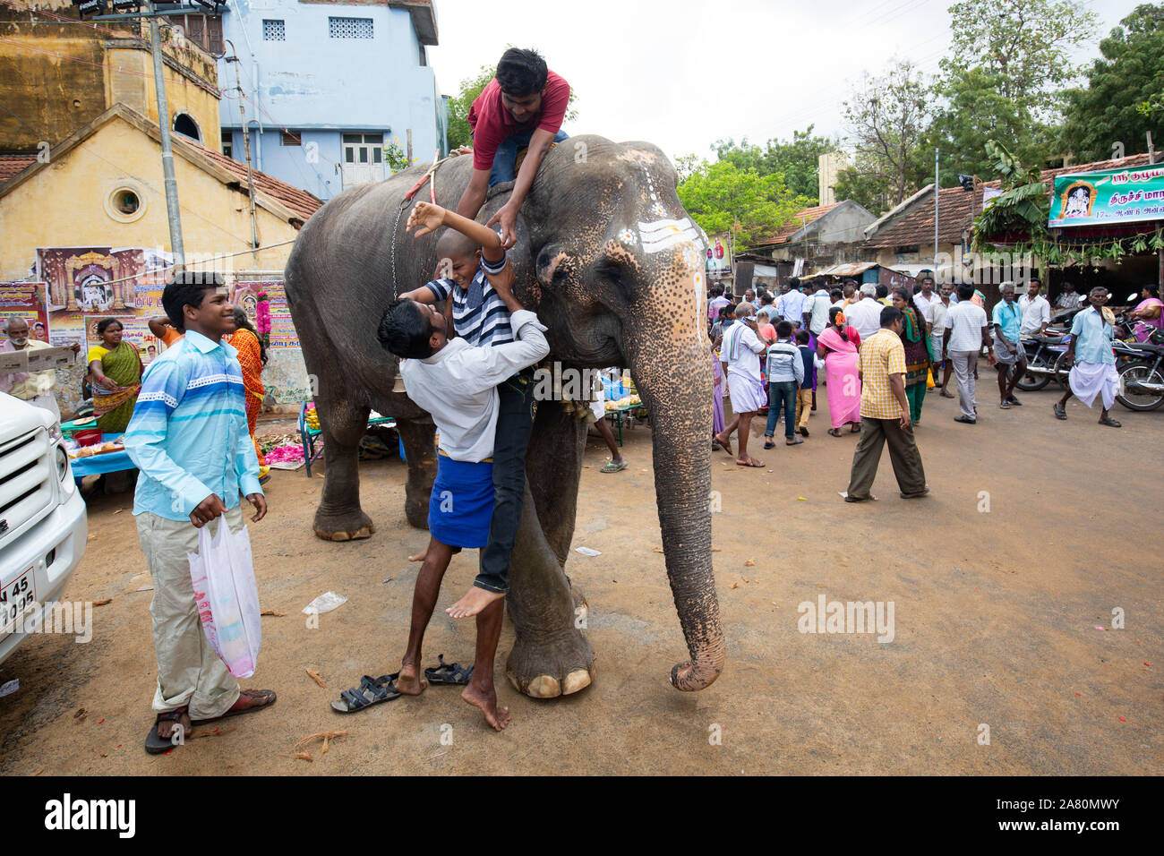 Man trying to lift a young boy on temple elephant during Kutti Kudithal Festival in Trichy, Tamil Nadu, India Stock Photo