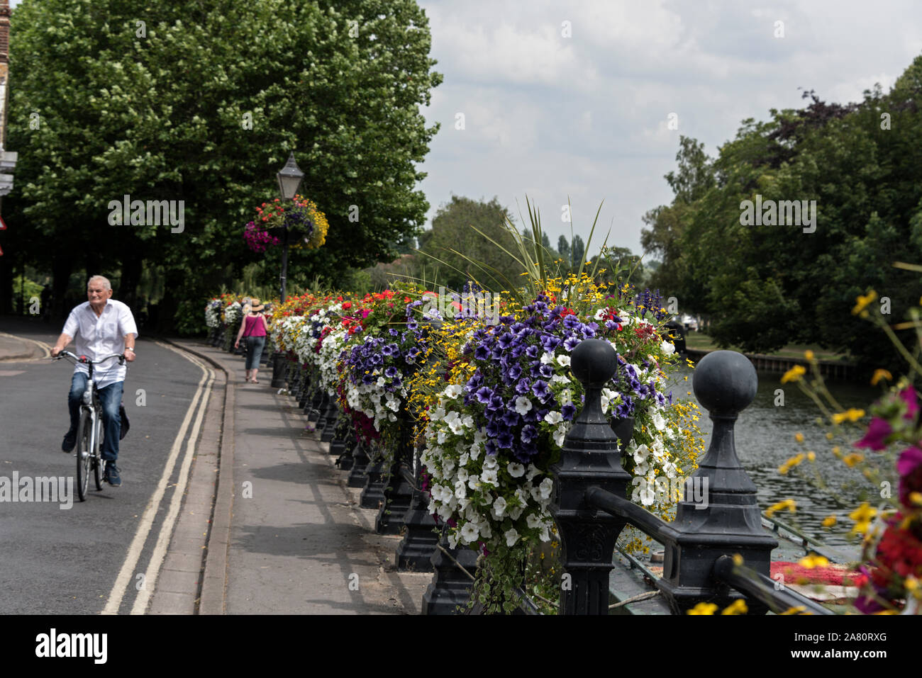 During the summer months in the UK, local councils plant a mix of brightly coloured flora in public places such as parks.   A local cyclist passing by Stock Photo