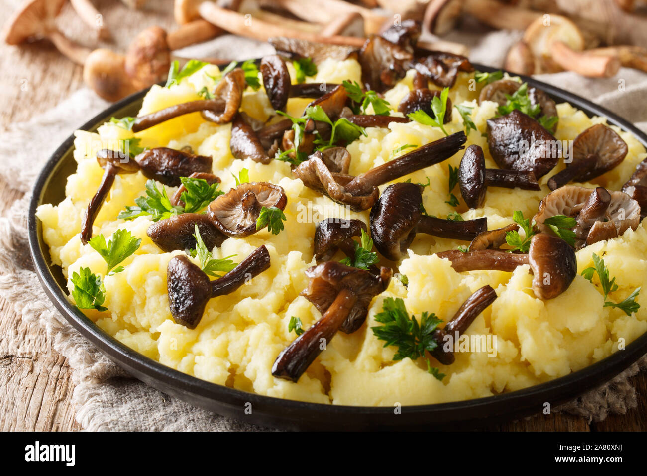 Rustic food forest mushrooms honey fungus with mashed potatoes closeup