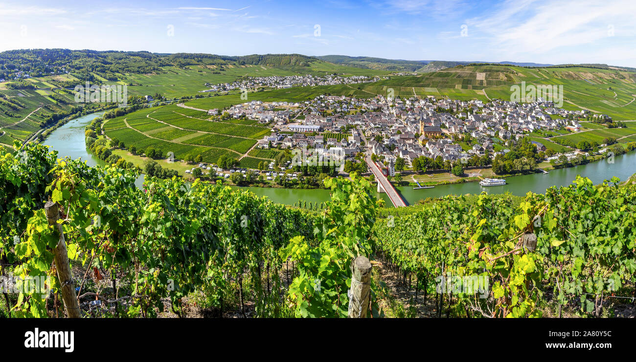 bend of the Moselle river around Trittenheim, Germany, panorama from above near Zummethöhe Stock Photo