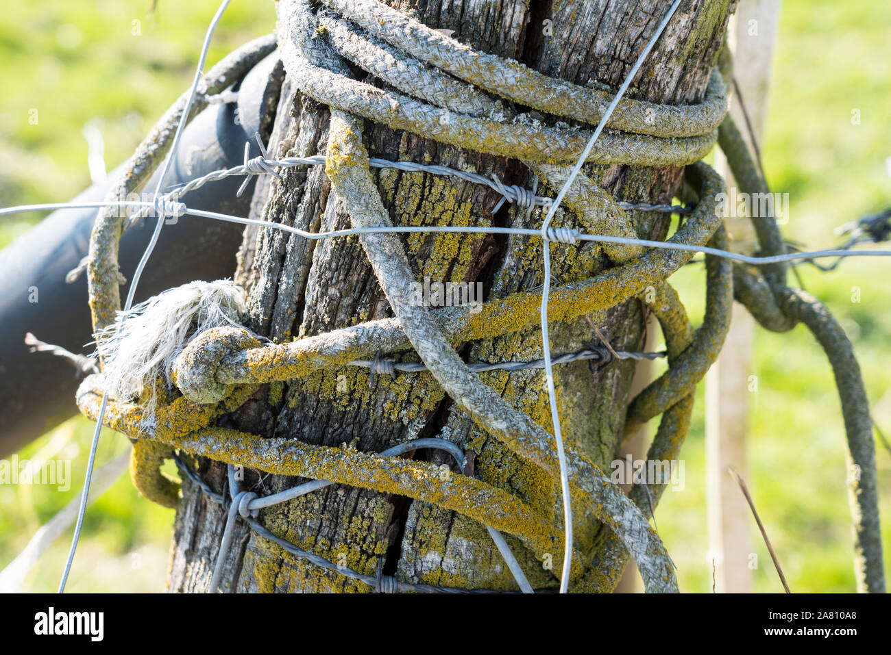 Old rope is wrapped around a fence post Stock Photo