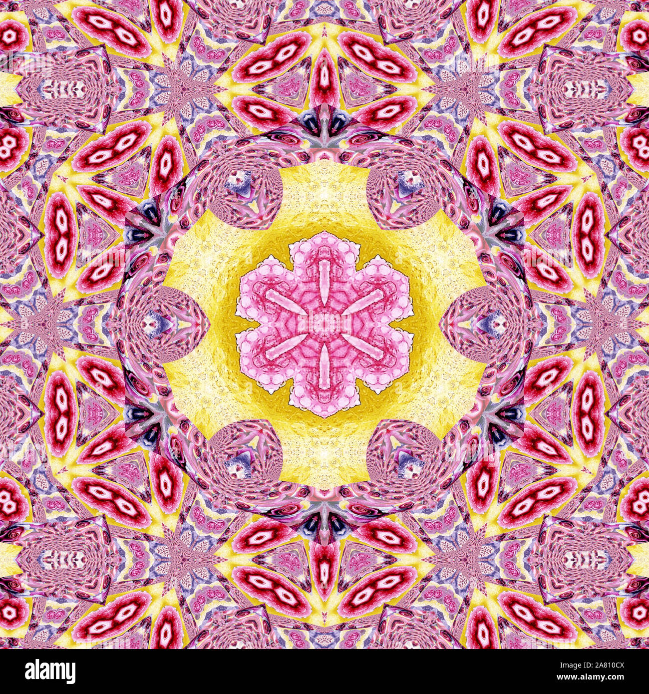 Rose pink mandala with yellow surround Stock Photo - Alamy