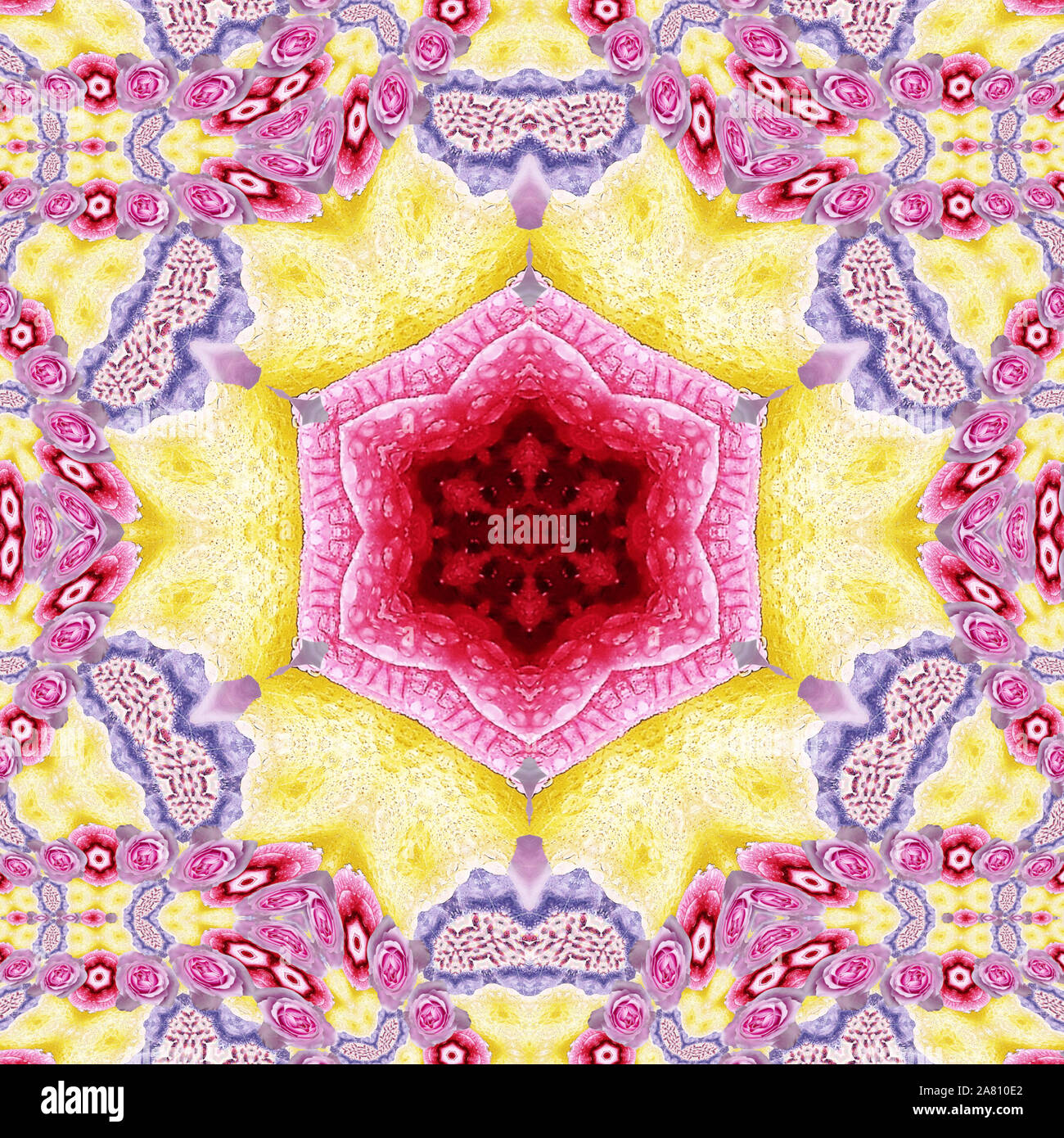 Mandala rose design hi-res stock photography and images - Alamy