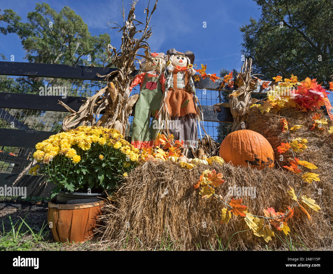 Fall harvest display at a local farm in North Central Florida. Stock Photo