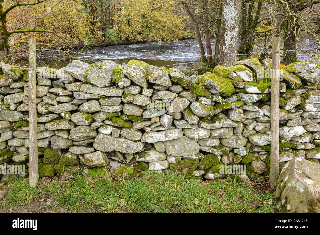 Moss covered dry stone walll Stock Photo