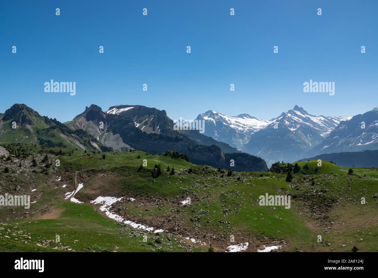 View of Schynige Platte in Summer Stock Photo Alamy
