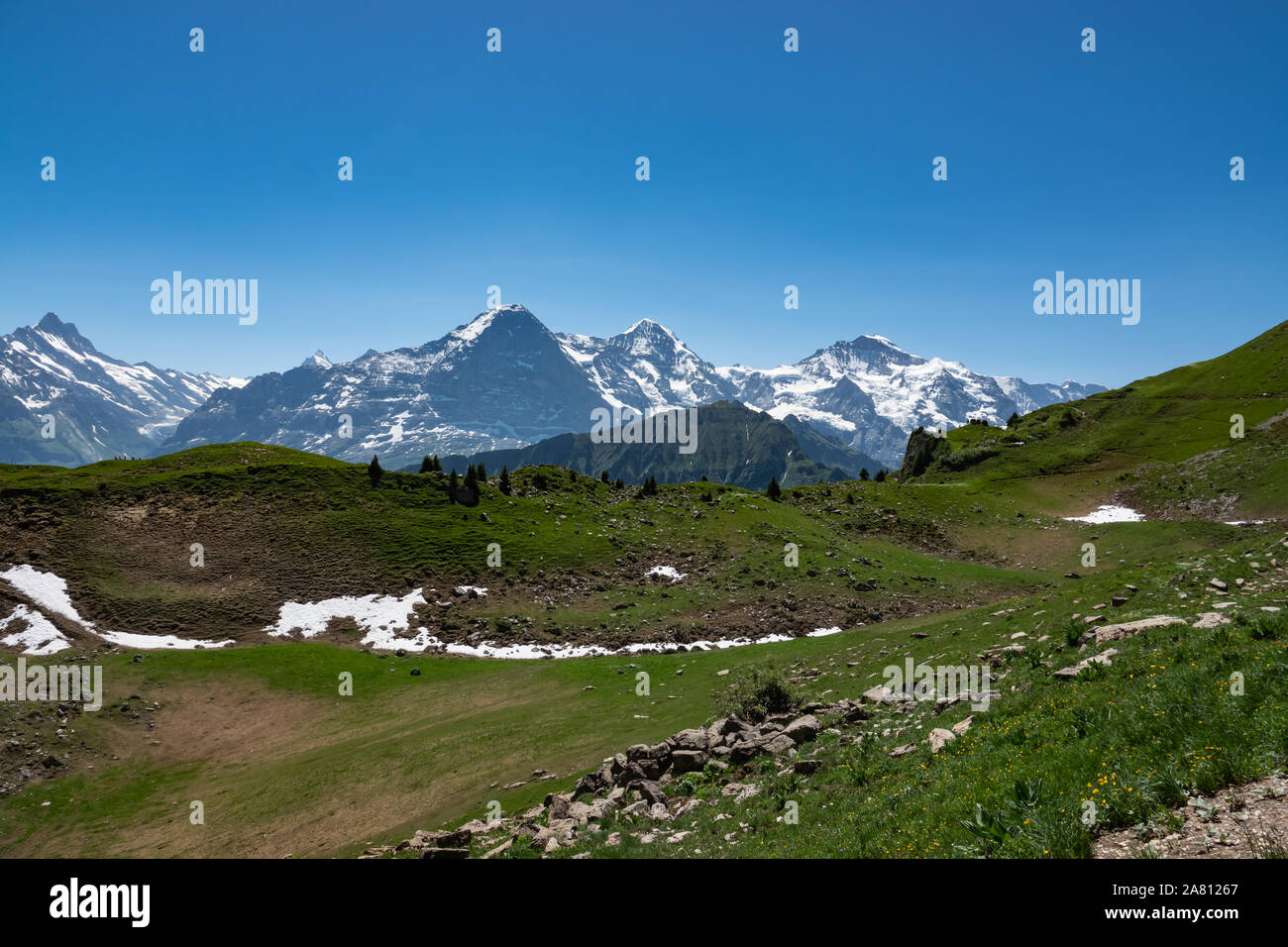 View of Schynige Platte in Summer Stock Photo Alamy