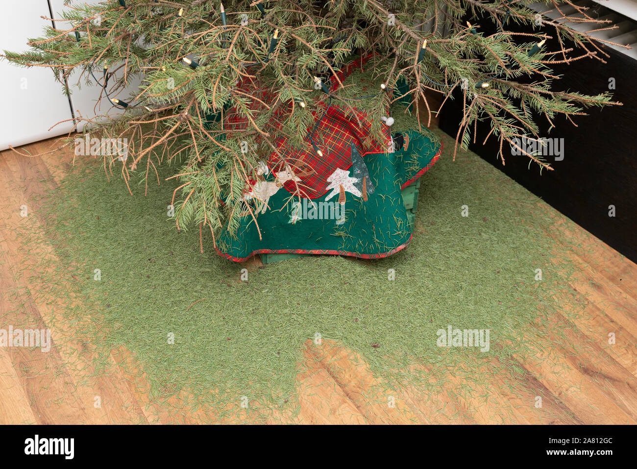 Christmas is over, the real Christmas tree lets the branches hang. The