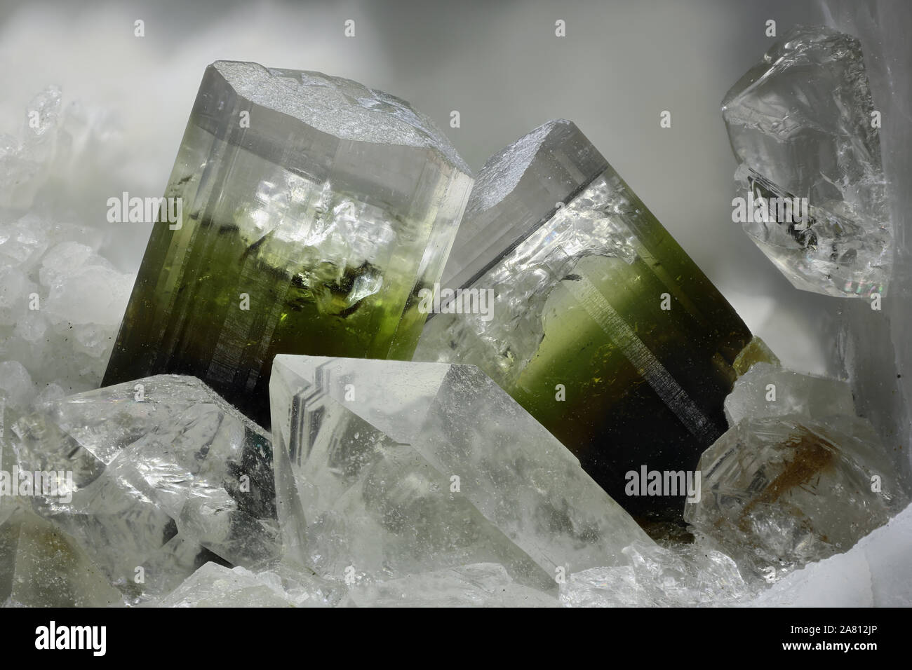 8.73 mm group of Elbaite crystals from Rosina vein, San Piero in Campo, Campo nell'Elba, Elba Island, Livorno Province, Tuscany, Italy Stock Photo